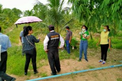 ลงพื้นที่เก็บข้อมูล50663_๒๐๐๖๐๖_0049